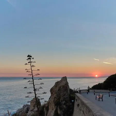 Oasis Park Splash Calella