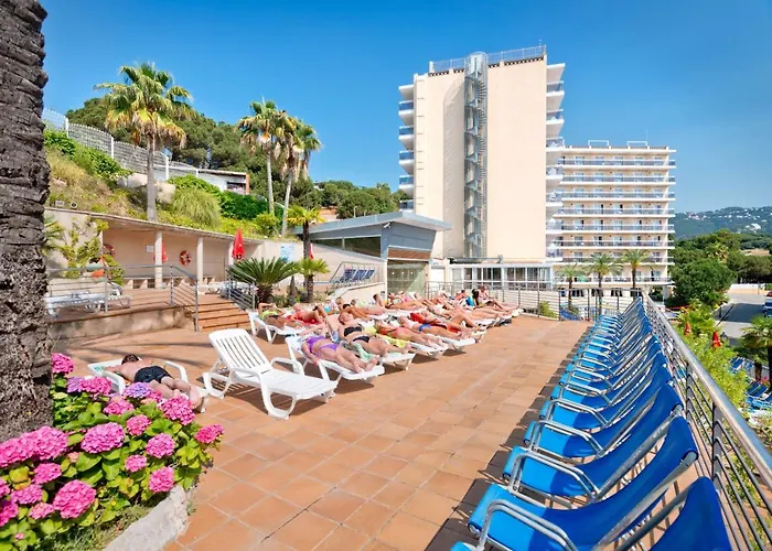 Oasis Park Splash فندق كاليليا