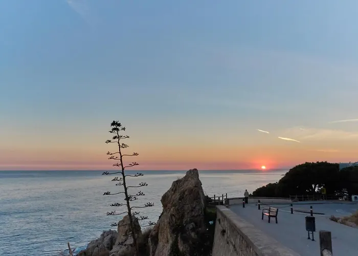 Oasis Park Splash Calella
